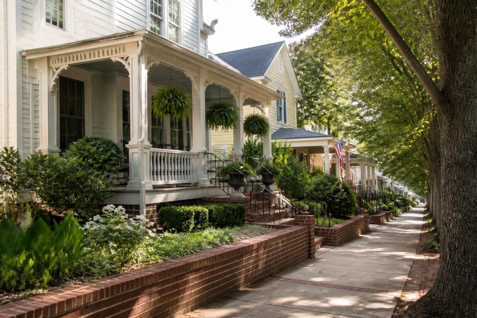 Historic Waxhaw street with charming homes and warm daylight.
